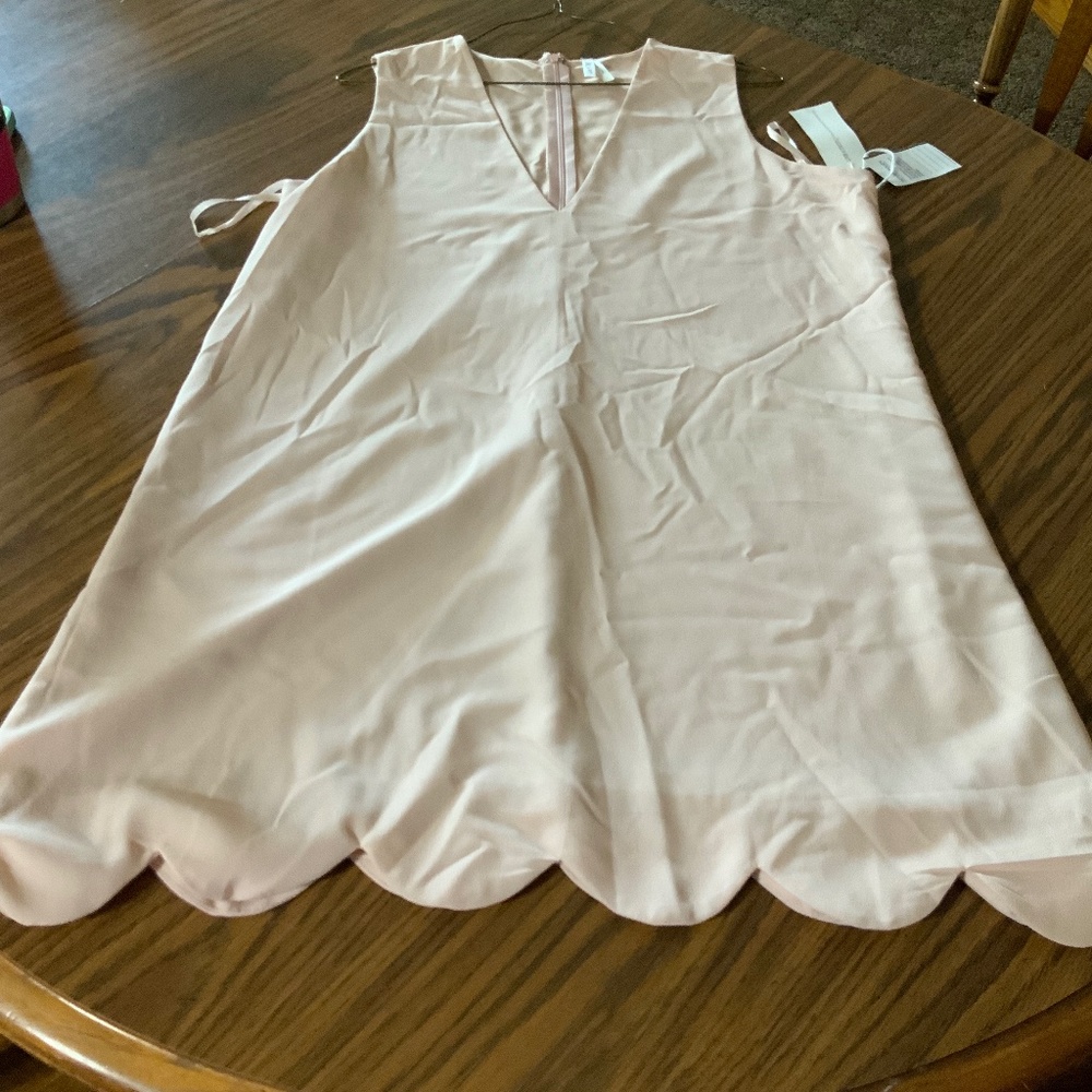 Live 4 Truth | Large | Light Peach Dress